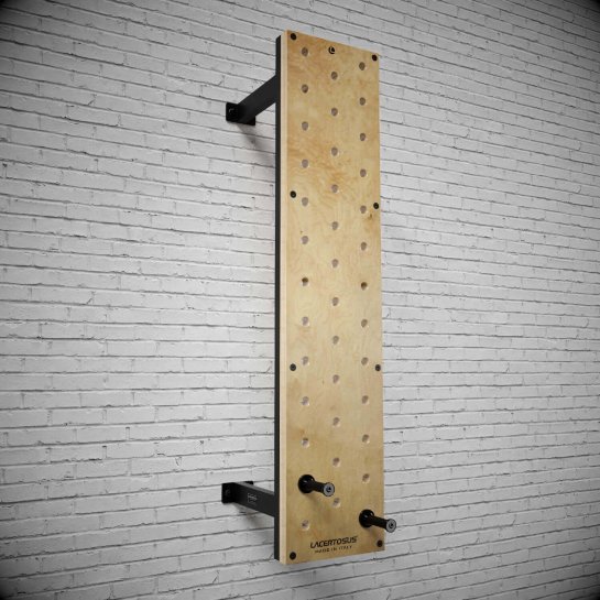 Peg Board 200cm (wall) Single equipment Lacertosus