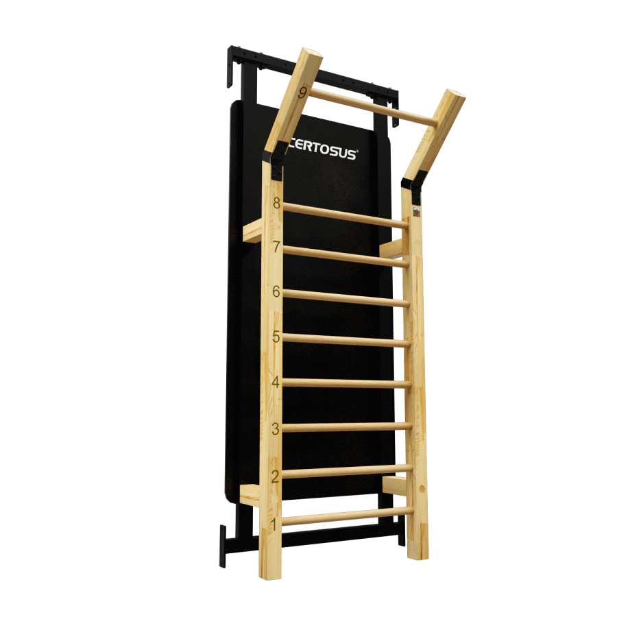 RIG (200) HSPU + Gladiator Wall Accessori Rig - 0805698481724 -