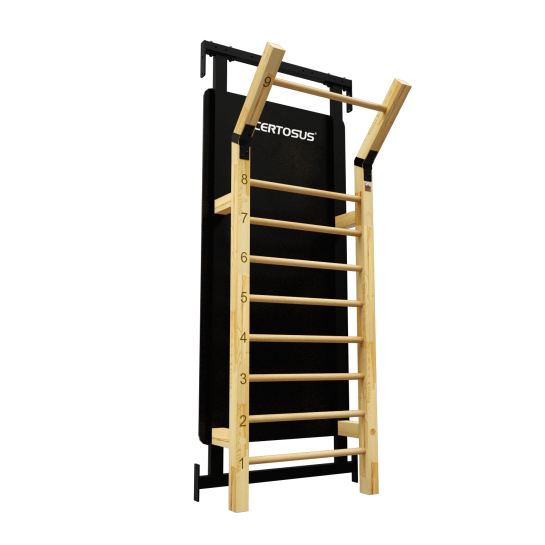 RIG (200) HSPU + Gladiator Wall Accessori Rig - 0805698481724 -