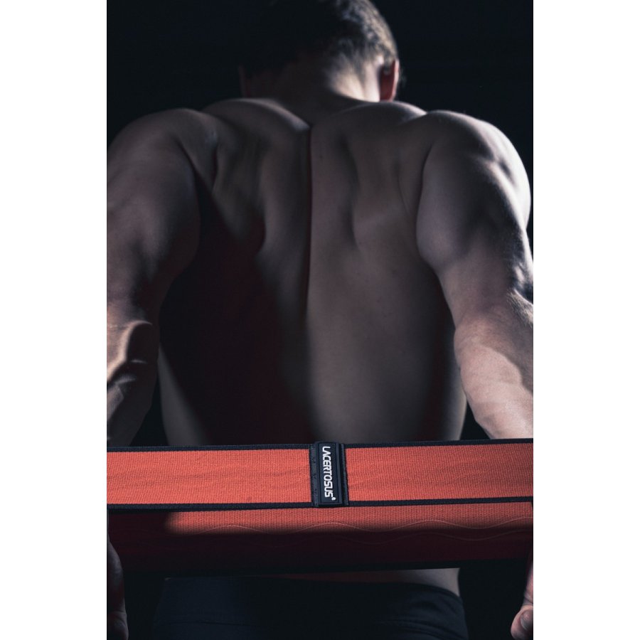 Training Bands SET Gym accessories and clothing Lacertosus