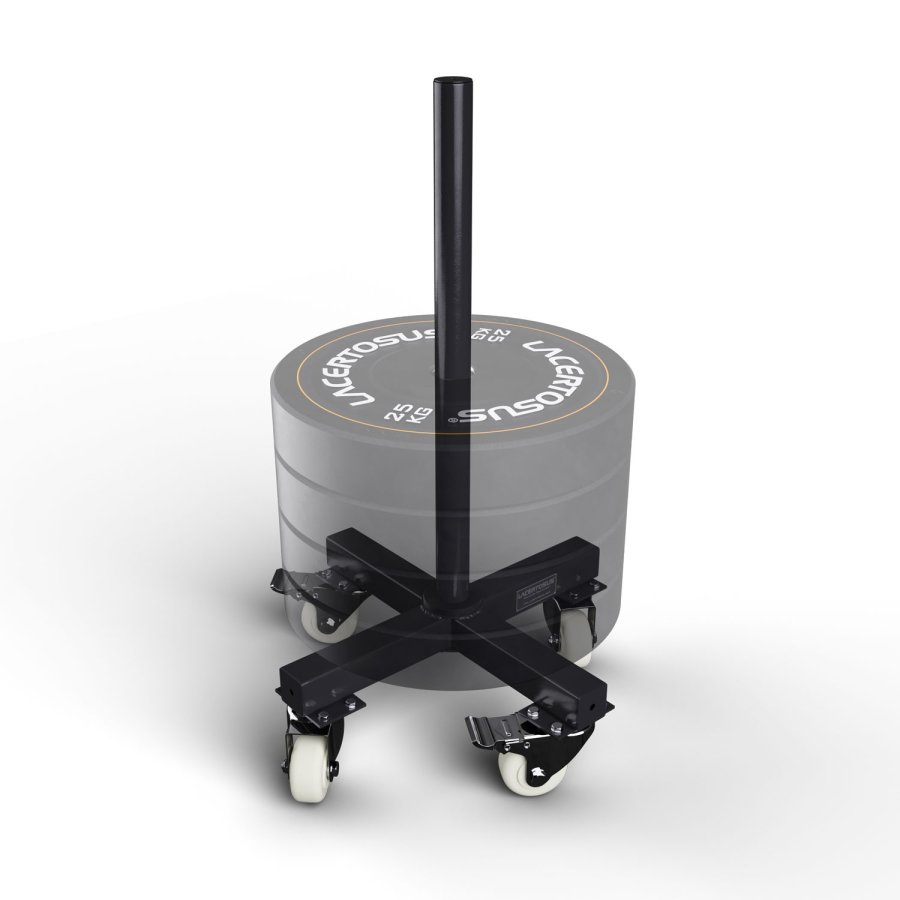 Bumper Rack Stand Plate Storage | Racks Lacertosus