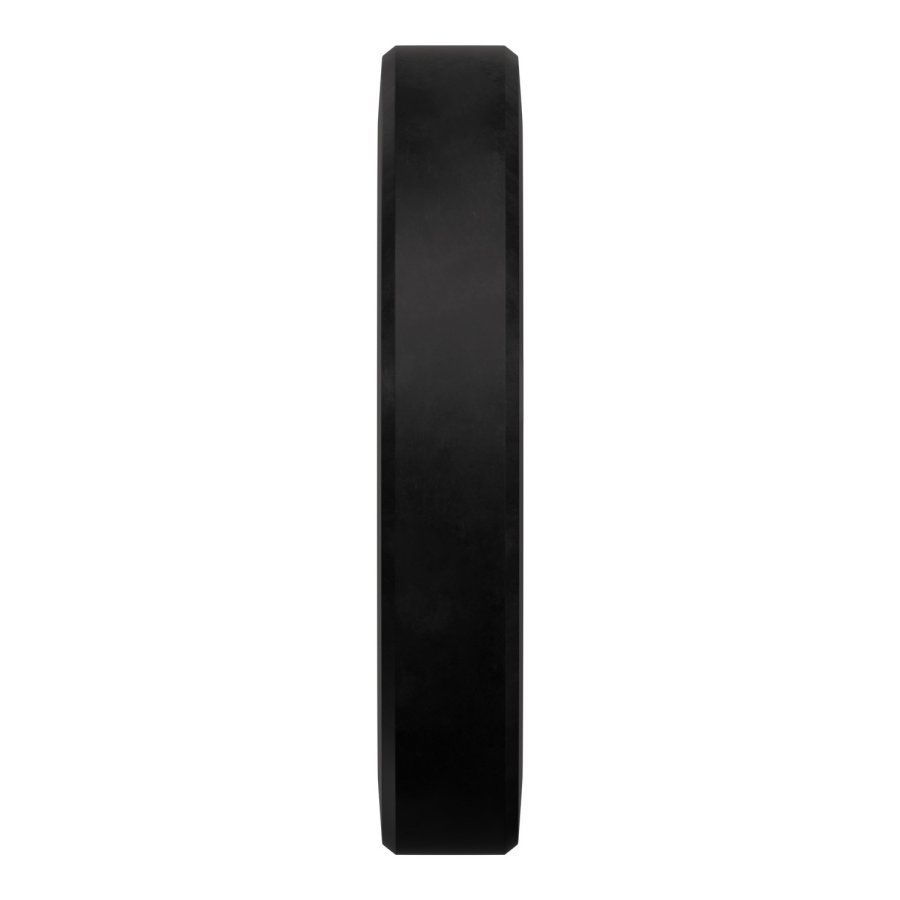 RAW Bumper Plate - 25 Kg Dischi pesi - 0805698479301 - BPR25