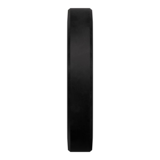 RAW Bumper Plate - 25 Kg Plates Lacertosus