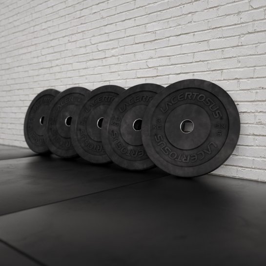 RAW Bumper Plate - 25 Kg Plates Lacertosus