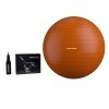 Swiss Ball/ Gym Ball 55 cm