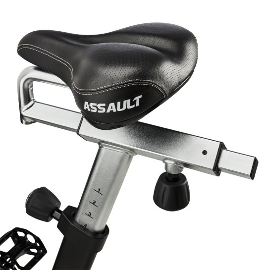 Assault AirBike Cardio Lacertosus