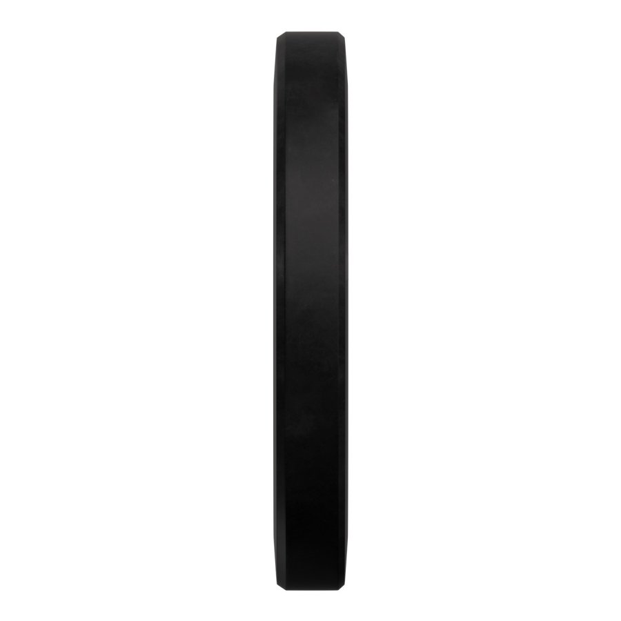 RAW Bumper Plate - 15 Kg Plates Lacertosus