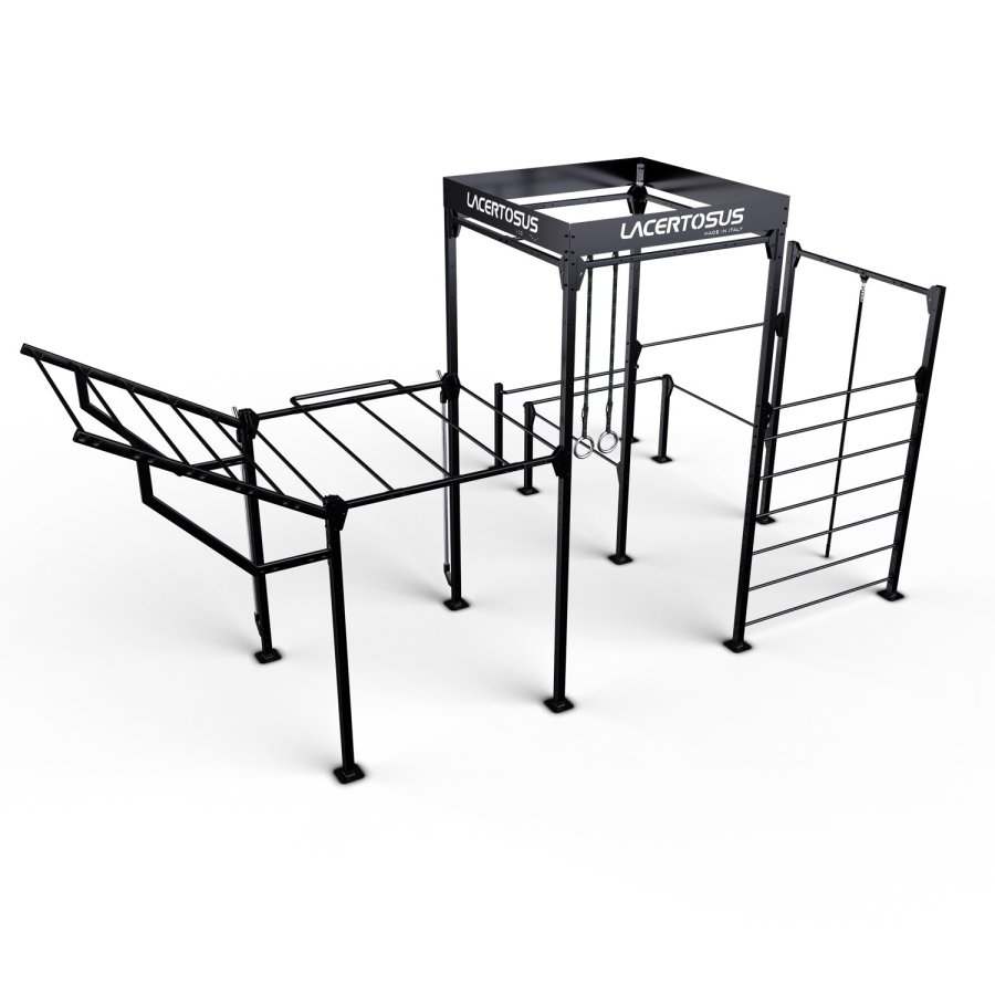 Calisthenics RIG 3