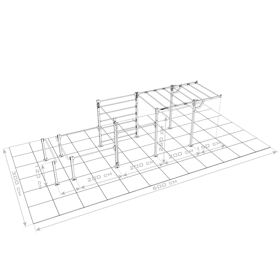 Calisthenics RIG 2