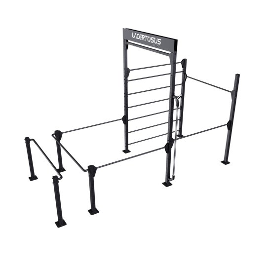 Calisthenics RIG 1