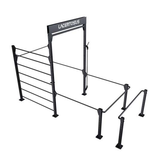 Calisthenics RIG 1