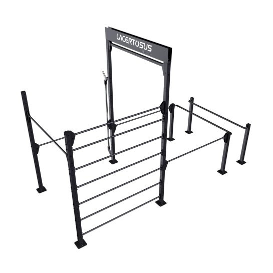 Calisthenics RIG 1