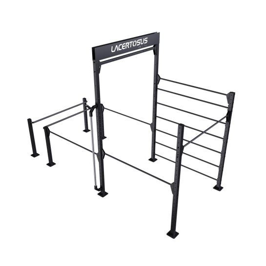Calisthenics RIG 1