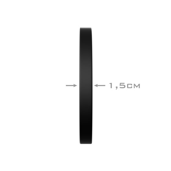 Small Plate TRAINING - 1.25 Kg Dischi Small Training -