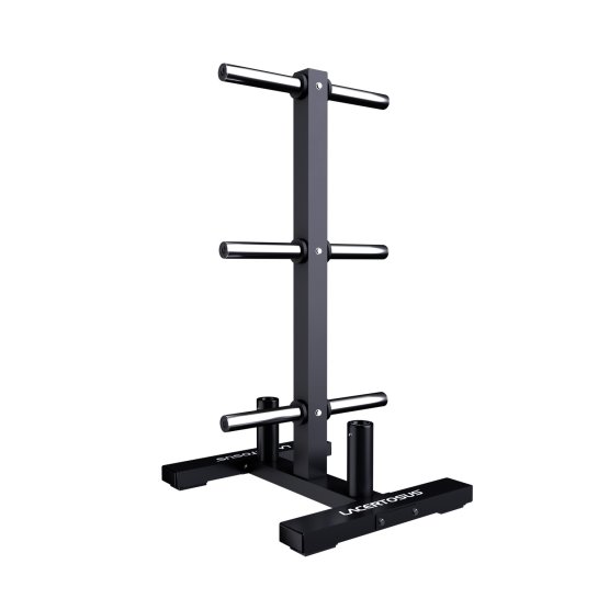Vertical Bumper Rack ELITE Plate Storage | Racks Lacertosus