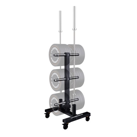 Vertical Bumper Rack ELITE Plate Storage | Racks Lacertosus