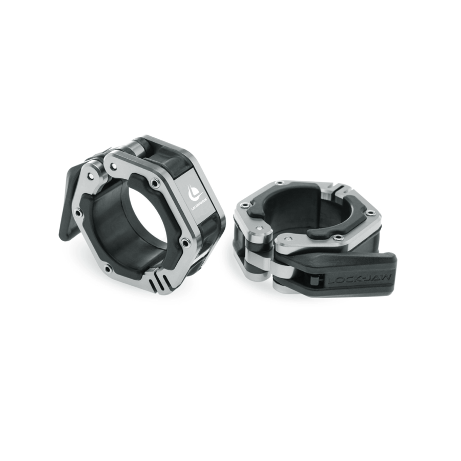 Lacertosus magnetic metal collars (chromed) Collari e Chiusure