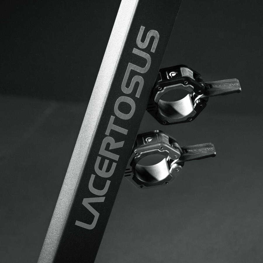 Lacertosus magnetic metal collars (chromed) Collari e Chiusure