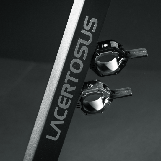 Lacertosus magnetic metal collars (chromed) Collari e Chiusure