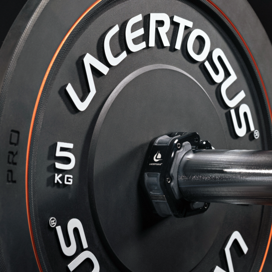 Lacertosus magnetic metal collars (chromed) Collari e Chiusure