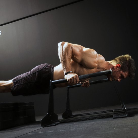 Parallettes PRO Parallele per palestra - 0805698483285 - PT-P