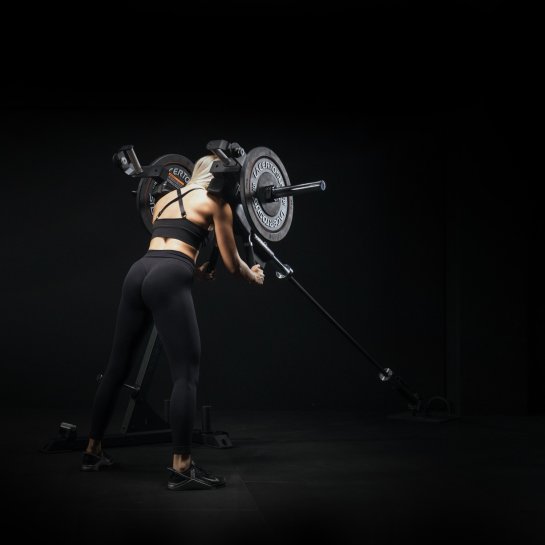 Landmine System - Wishbone + Stand Accessori per bilancieri -