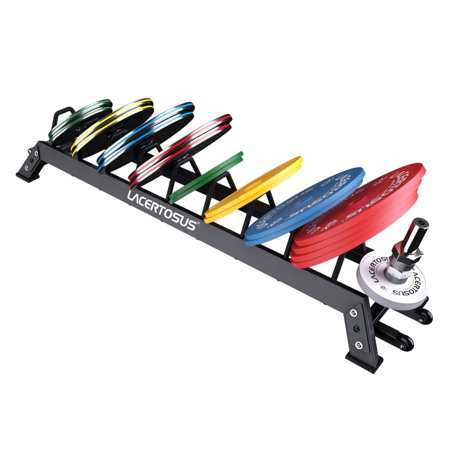 Rastel Discuri Elite - Soluție Compactă și Robustă pentru Sală