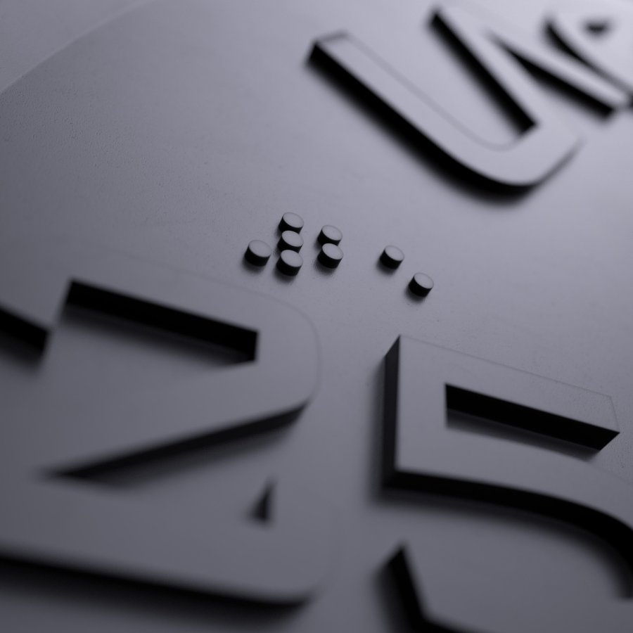 Disque Bumper Training 15 kg - Qualité Lacertosus