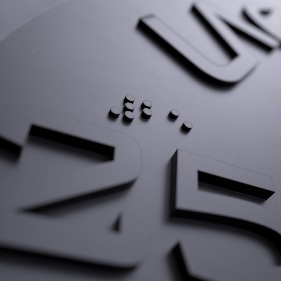 Disque Bumper Training 25 Kg - Qualité Lacertosus