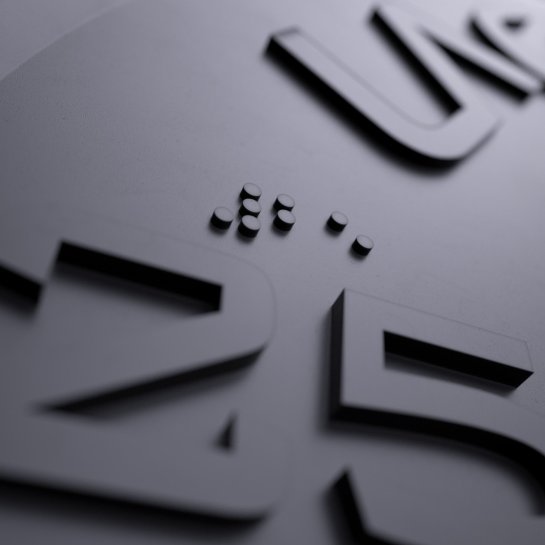 Disque Bumper Training 25 Kg - Qualité Lacertosus