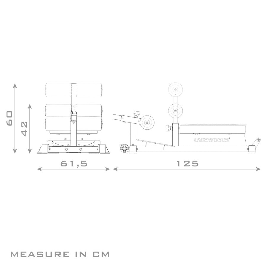 Sissy Squat | Calidad Lacertosus