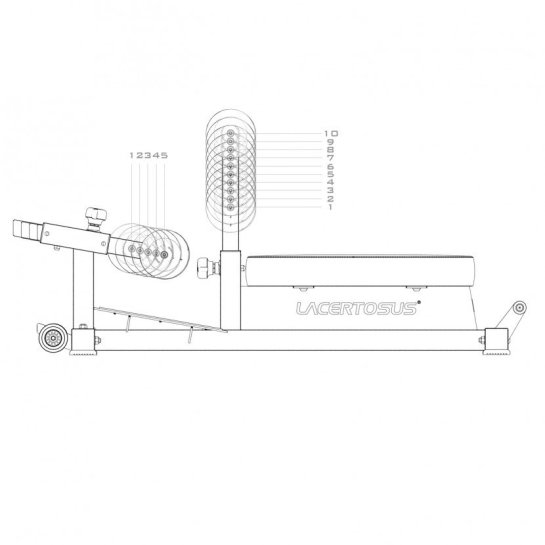 Sissy Squat | Calidad Lacertosus