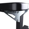 Flat Bench Lacertosus