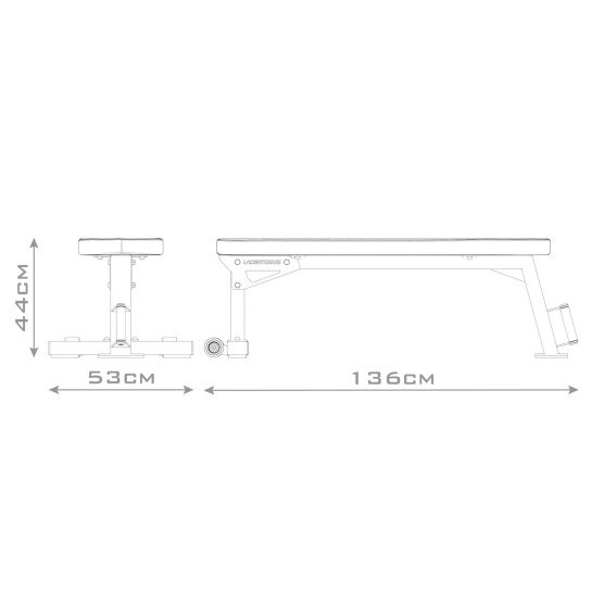 Flat Bench Lacertosus
