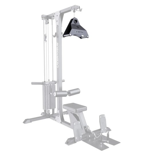 Landmine con Doble Empuñadura