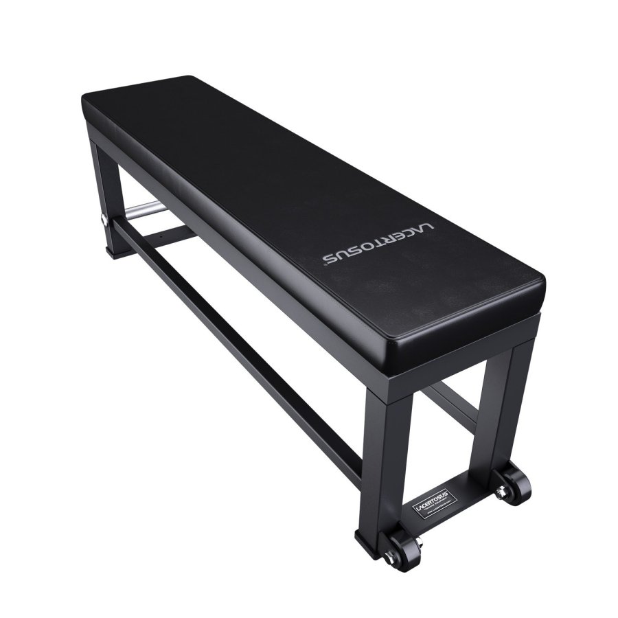 Panca Training Powerlifting