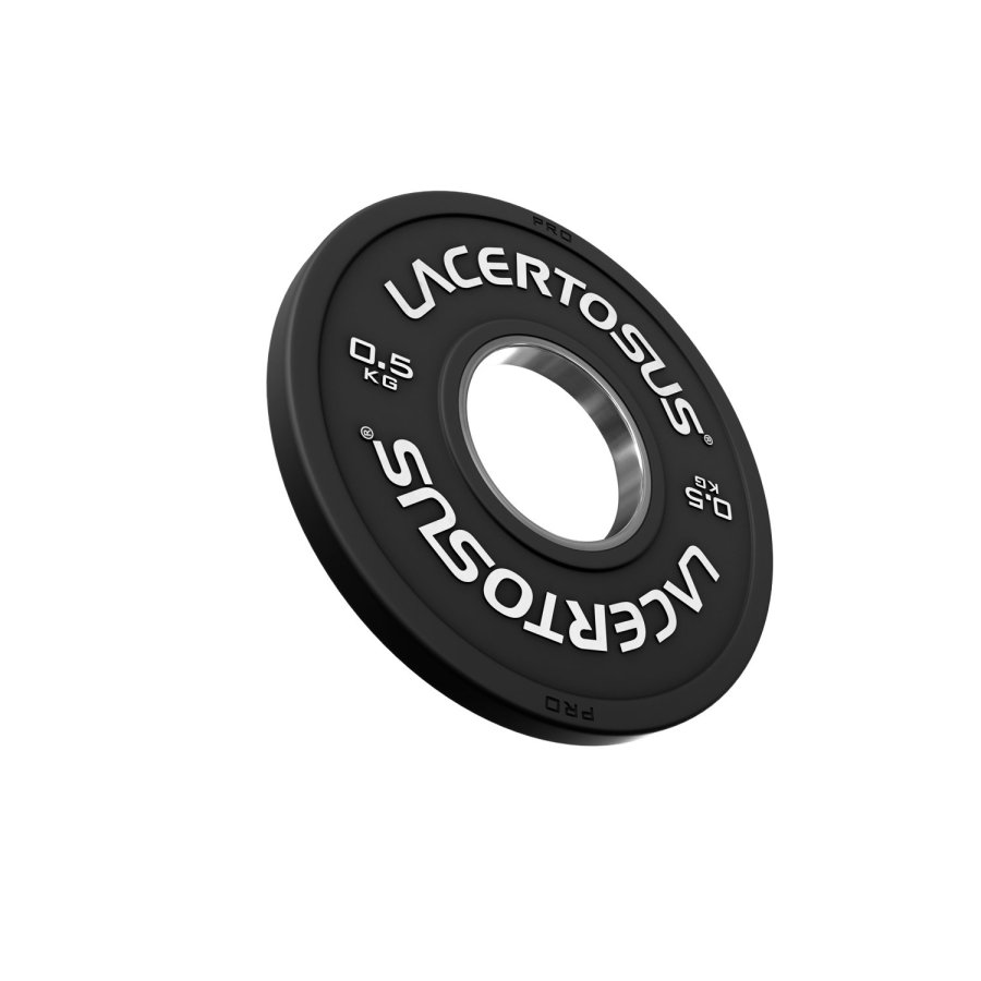 TRAINING Small Plate - 0.5 Kg