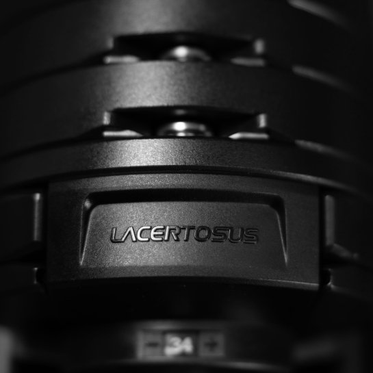 Manubri regolabili 2-40 kg Selektor 2.0 | Lacertosus®