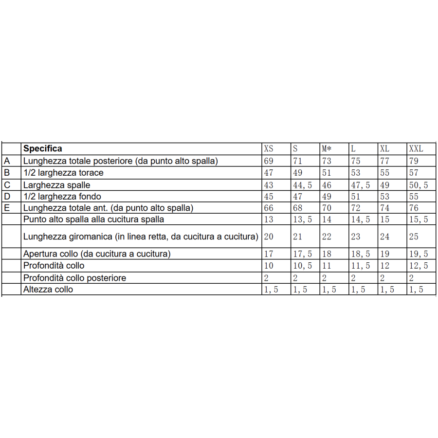 Camiseta Entrenamiento Hombre Lacertosus® Secado Rápido