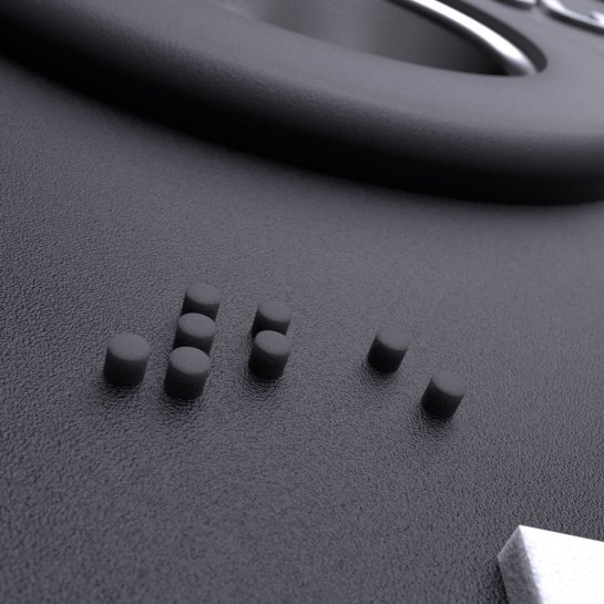 Lacertosus Pro Grip PU-Scheibe mit Braille