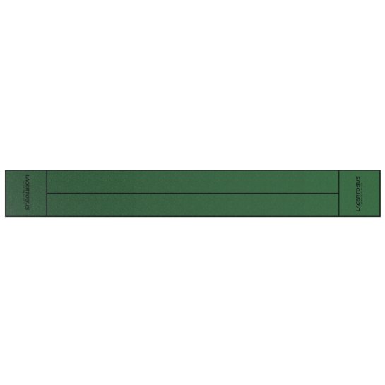 Green PRO Synthetic Turf 16.1 × 2 m (HYROX standard) | Lacertosus®