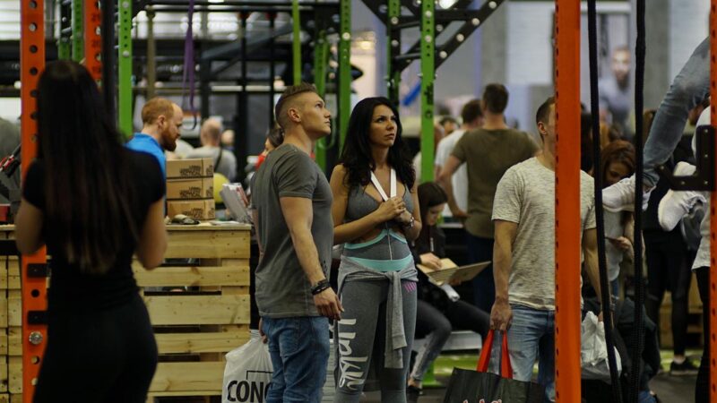 FIBO