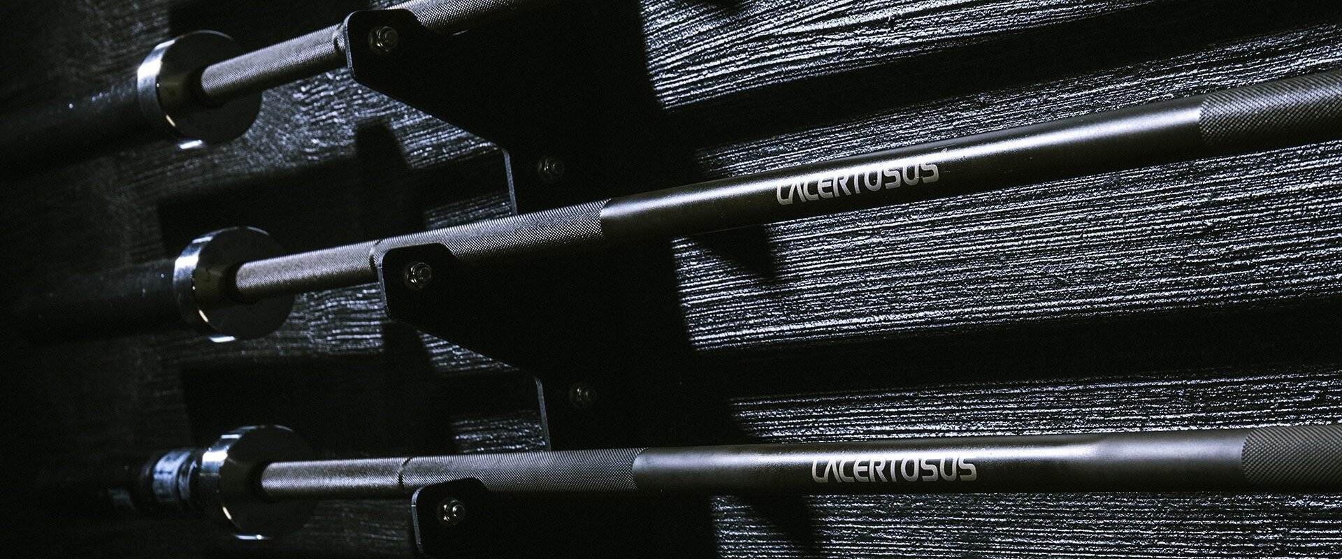 Rack a Muro Lacertosus