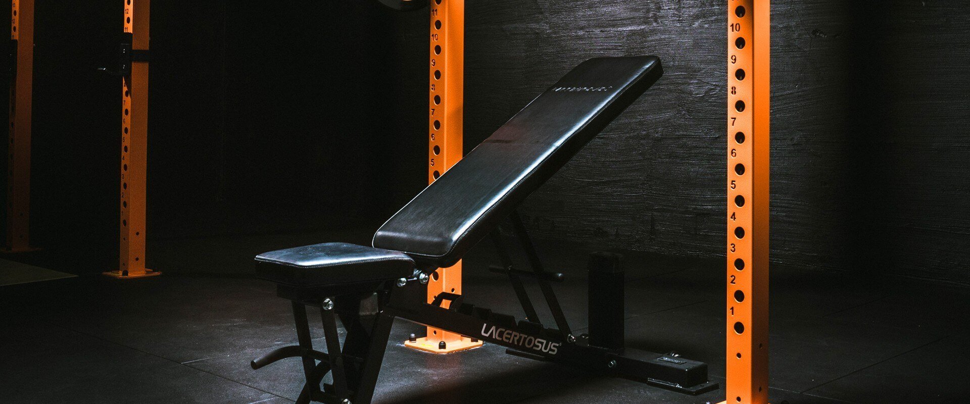 Verstellbare Hantelbänke für das Fitnessstudio