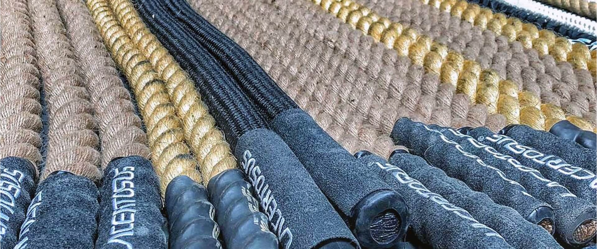 Battle Ropes – Allenamento Cross Training per Forza e Resistenza