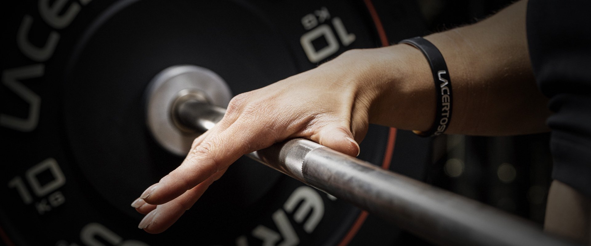 Outlet Lacertosus: Discounts of up to 50%