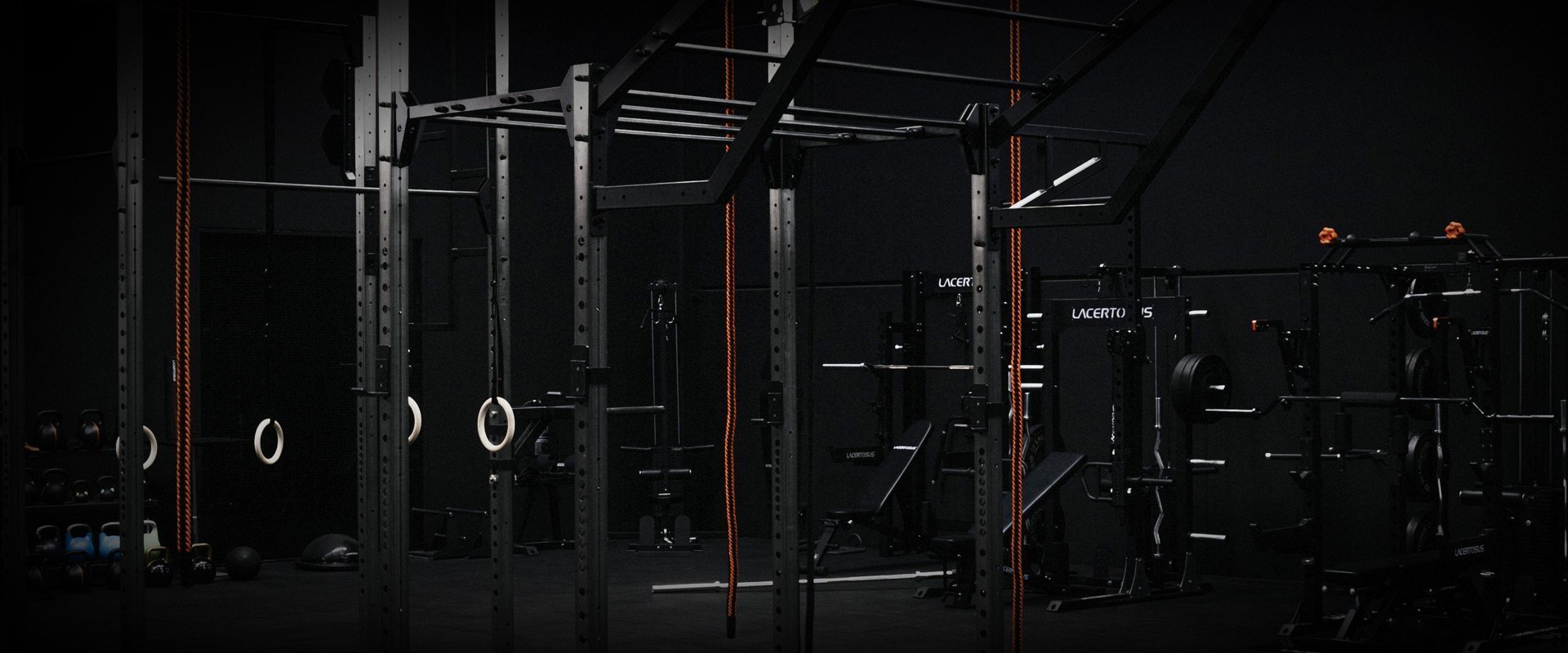 Rigs and Racks - Lacertosus