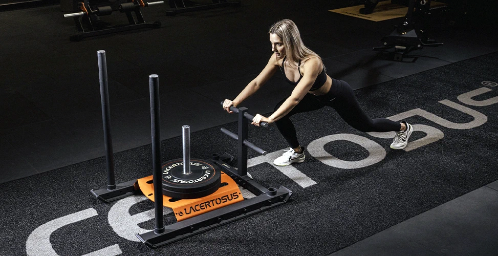 RiminiWellness 2026 — padiglione Lacertosus