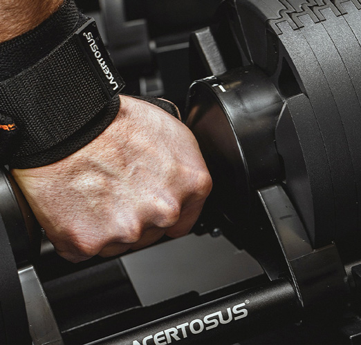 Istruzioni Lacertosus