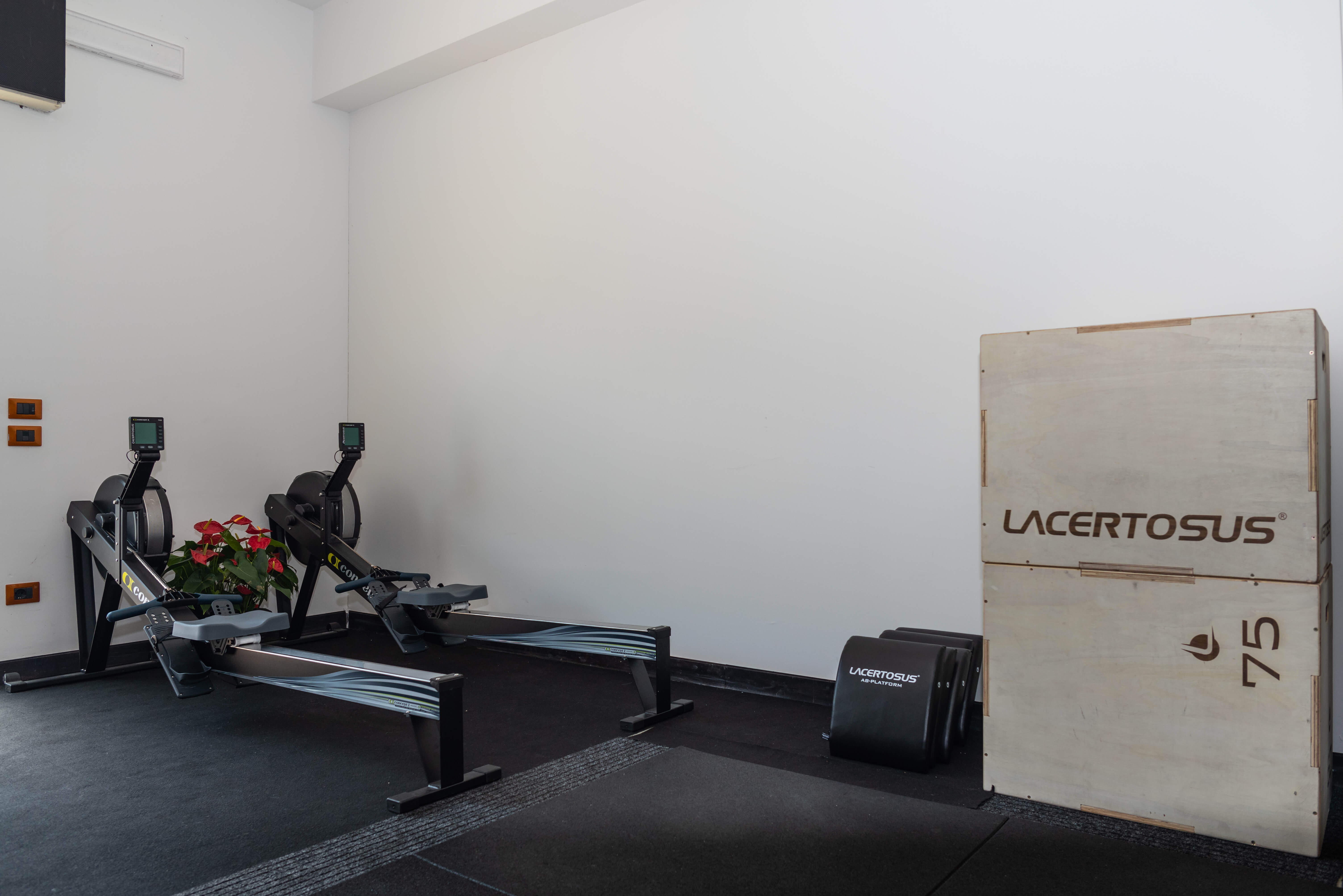Gimnasio con dos remeros Concept2 junto a una planta y equipamiento Lacertosus.